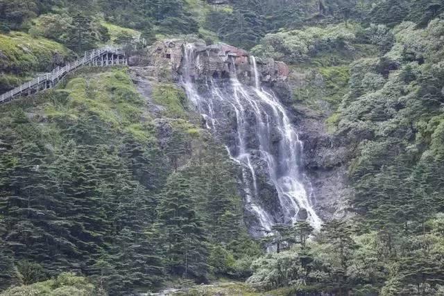 街头霸王5